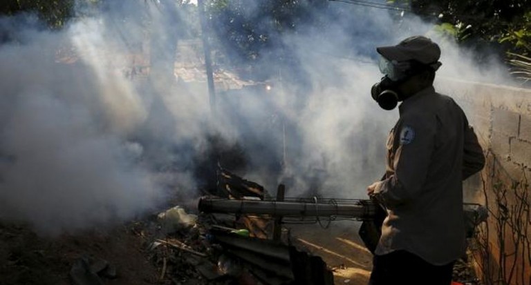 2015 Epidemia Zika Brasil