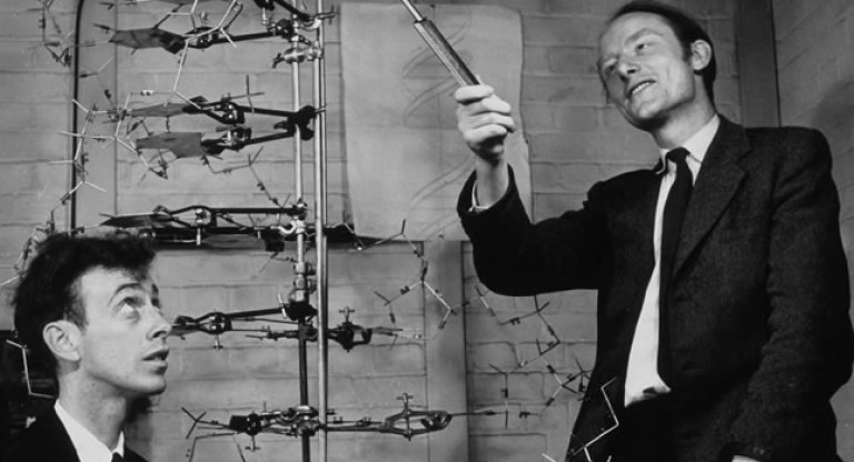 1953 Primera_estructura_del_ADN